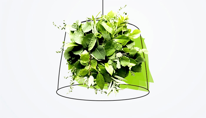 Kredyt ekologiczny – miliony złotych na rozwój firm z naszym wsparciem