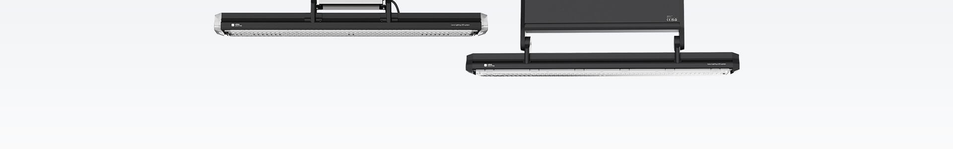 Lena Lightin- politechnika poznańska