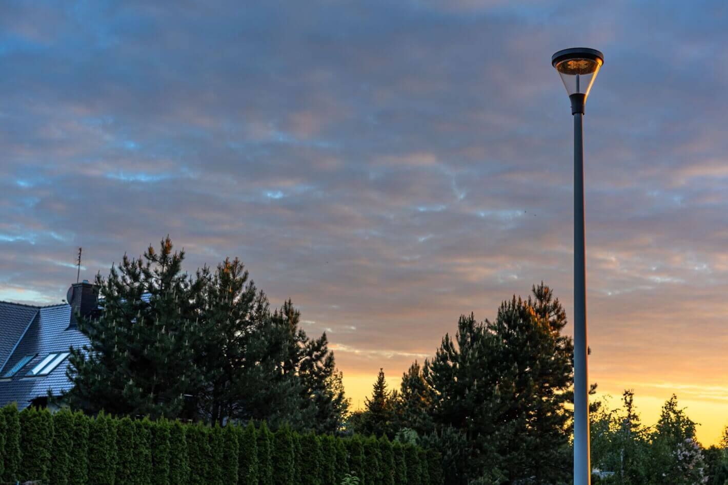 Photo 006