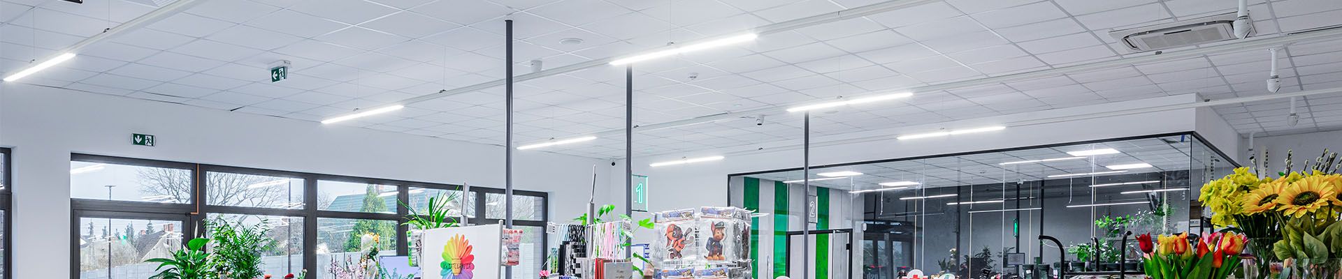 oświetlenie wewnętrze sklepu budowlanego Linea S LED
