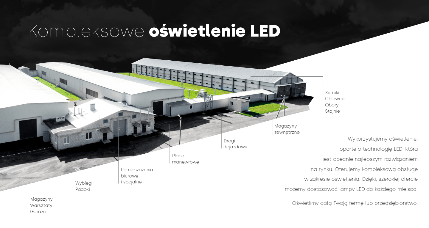 Lena Lighting kompleksowe oswietlenie led