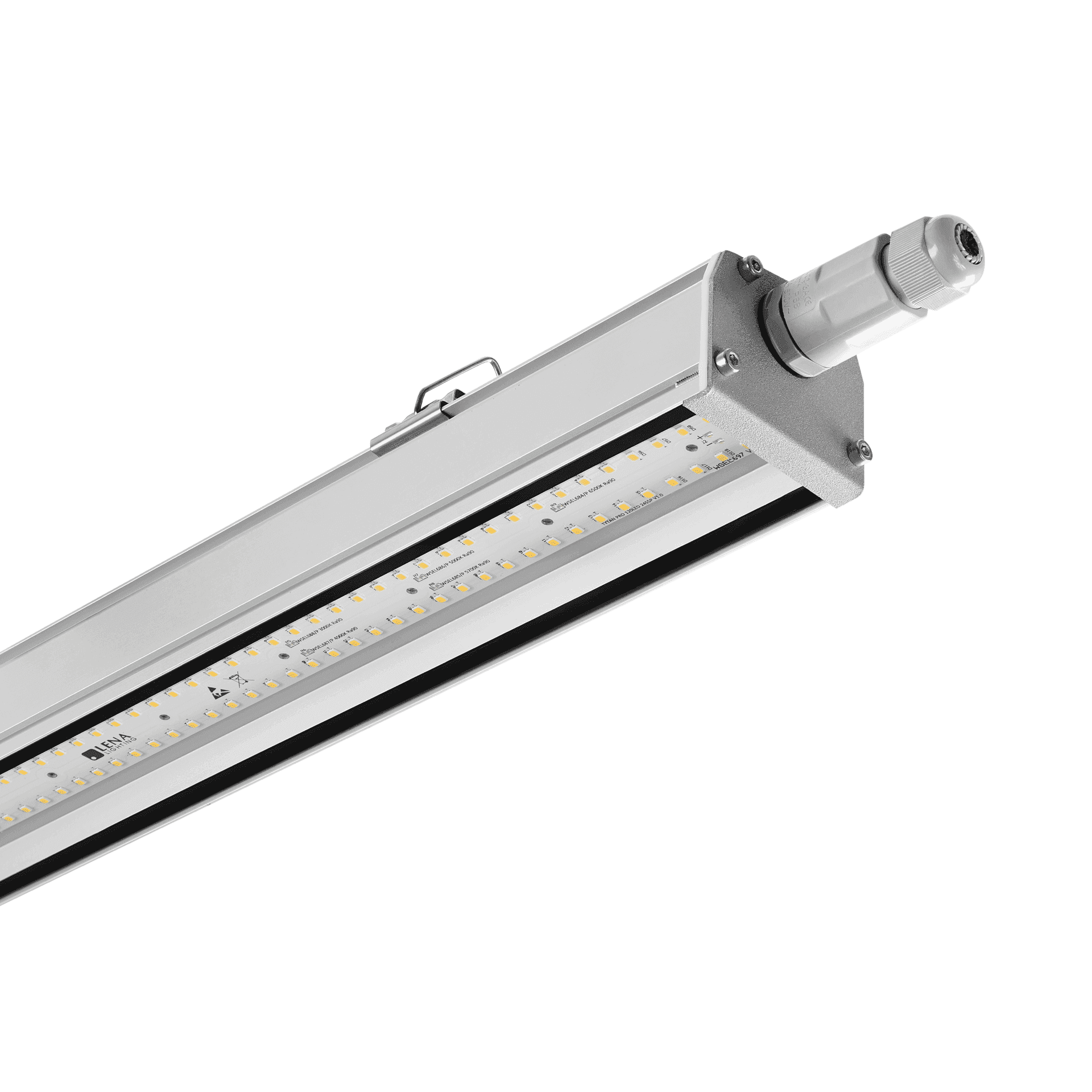 INDUSTRY IP66 LED